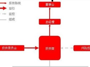 投资管理框架的核心构建与实践应用