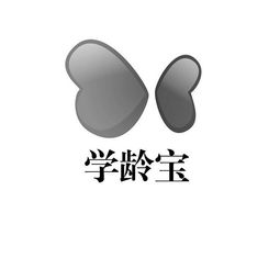 探索战略性布局与增长逻辑